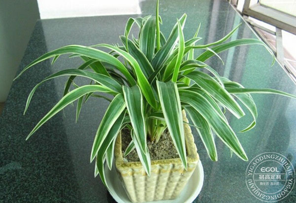 滾蛋吧 甲醛君！